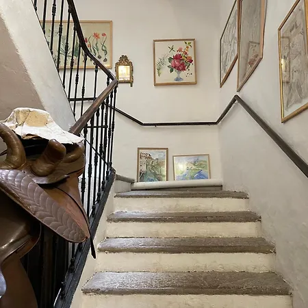 בית הארחה Les Asphodeles 3