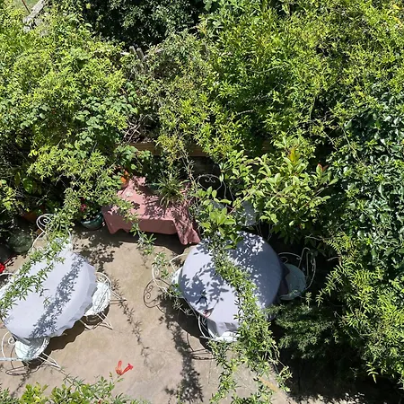 Les Asphodèles 3 Saint-Hippolyte-du-Fort