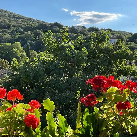 Les Asphodeles 3 Guest house