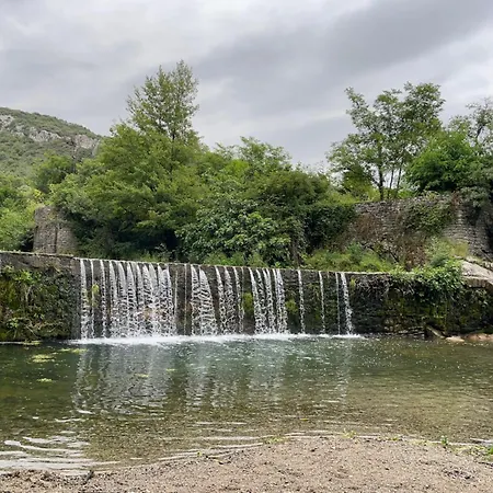 Les Asphodèles 3 3*